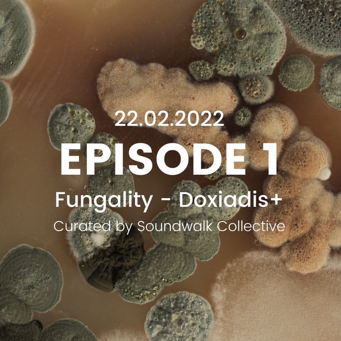 EPISODIO 1: FUNGALITY