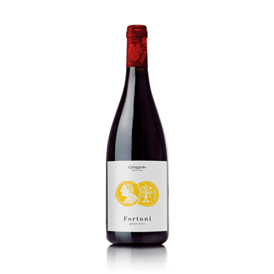 FORTUNI 