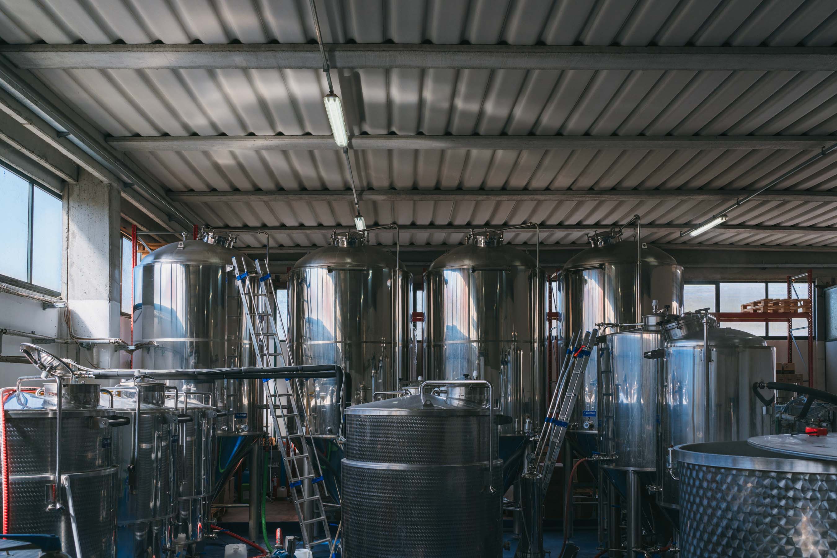 Fermentatori in birrificio