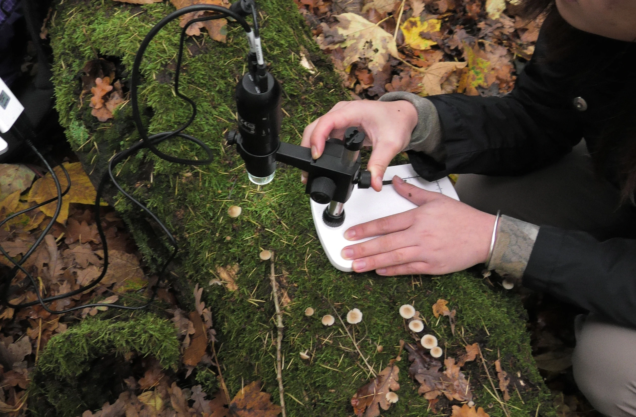Pocket Microscope