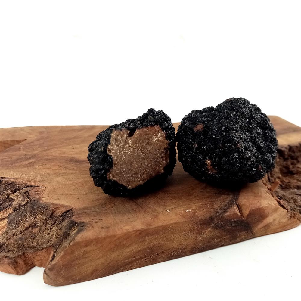 Tartufo Uncinato (Tuber uncinatum Vitt.) fresco selezionato 50 g
