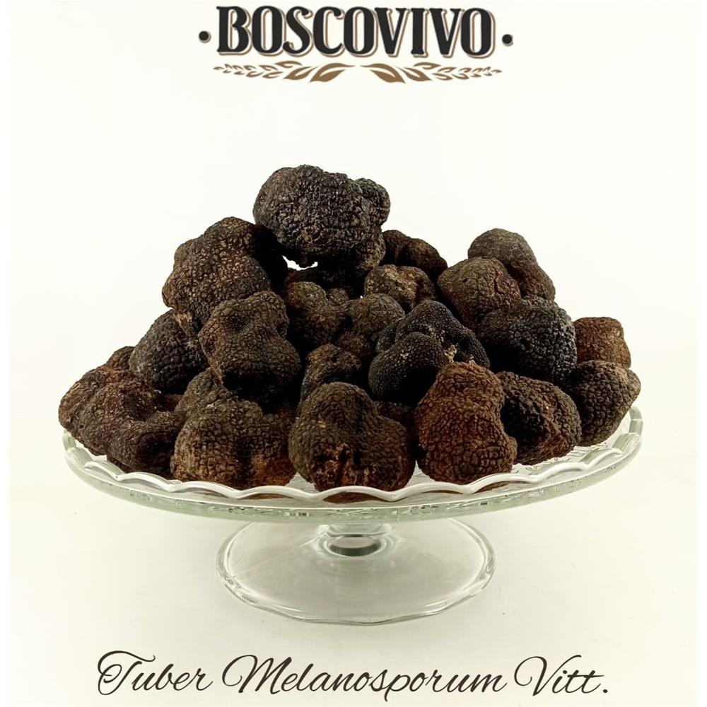 Tartufo nero pregiato (Tuber Melanosporum Vitt.) 100 G.