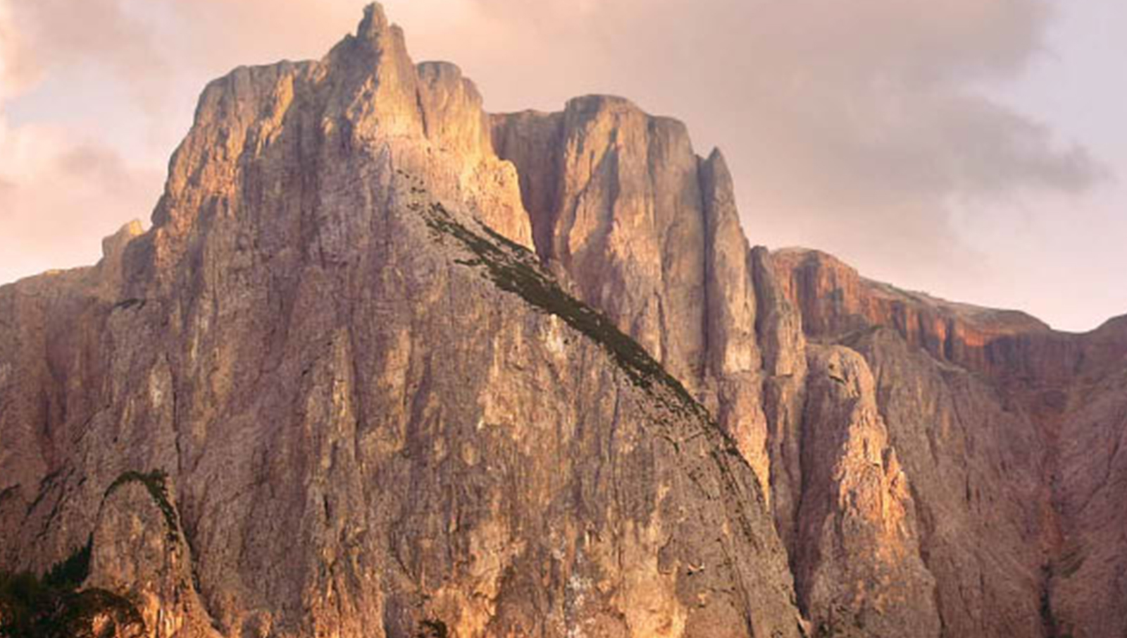 Silicium, nature&acute;s architect