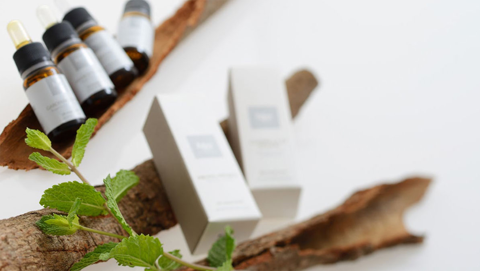Mei Essential Oils schreibt an den Direktor