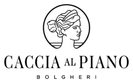 Caccia Al Piano
