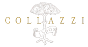 Collazzi